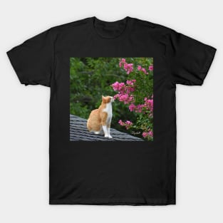 Gracie T-Shirt